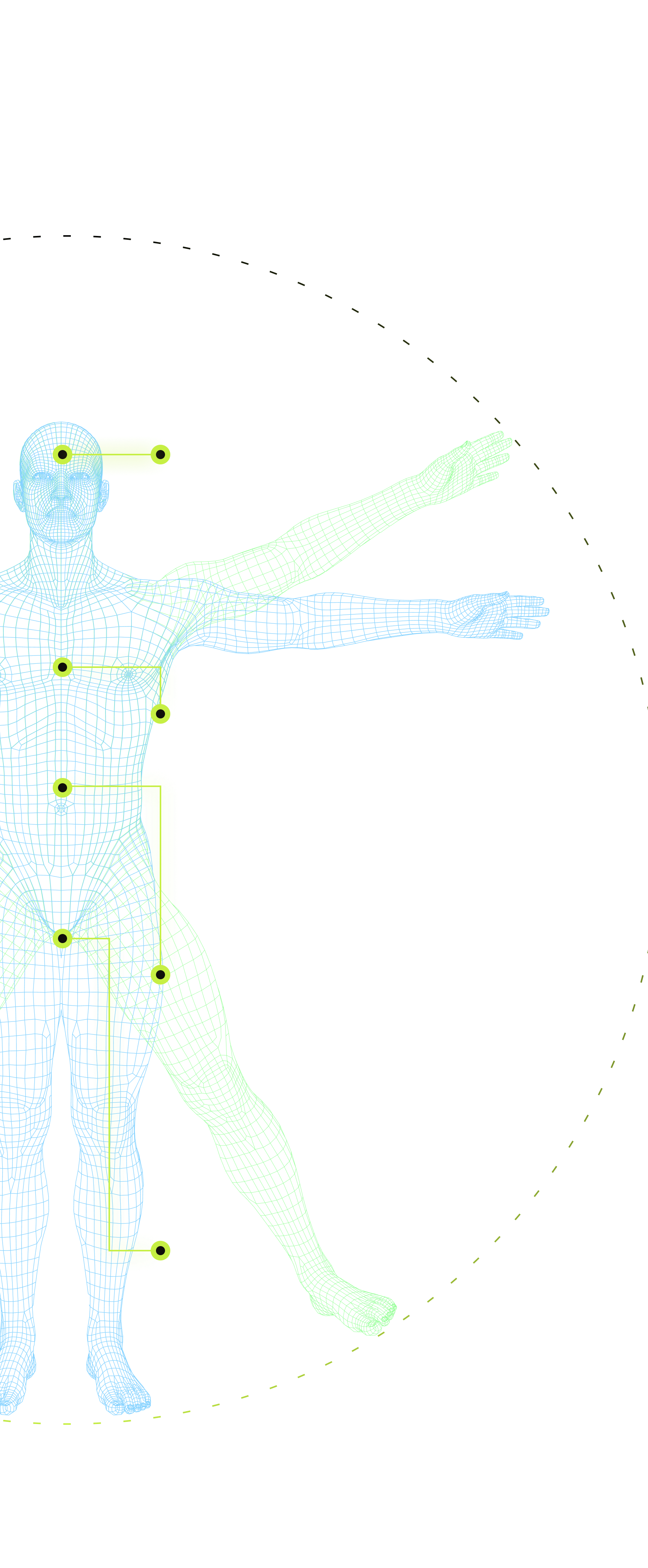 Body
